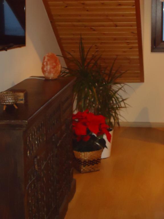Petralona Apartment Agios Athanasios ภายนอก รูปภาพ